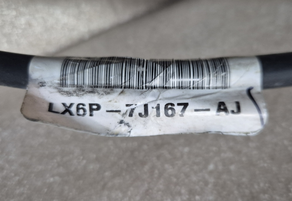 Image Content Service